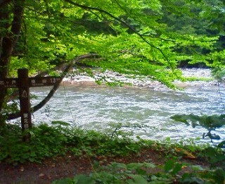 20100817-06.jpg