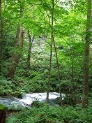20100817-07.jpg