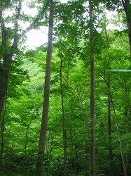 20100817-12.jpg