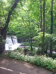 20100817-13.jpg