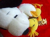 20100821-01.jpg