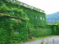20100821-04.jpg