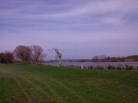 20110508-02.jpg