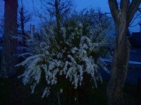 20110521-03.jpg