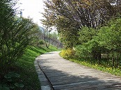 20110529-03.JPG
