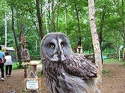 20120804-03.jpg