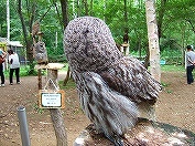 20120804-04.jpg