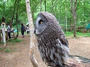 20120804-05.jpg