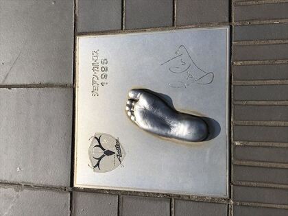 1609493584-IMG_2696_R.JPG