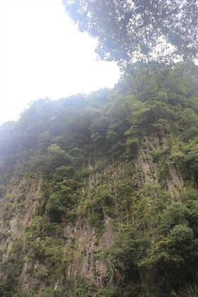 1610848632-130930-124818-IMG_6435_R.JPG