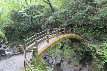 1611064647-130930-145639-IMG_6512_R.JPG