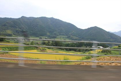 1611146863-130930-155024-IMG_6558_R.JPG