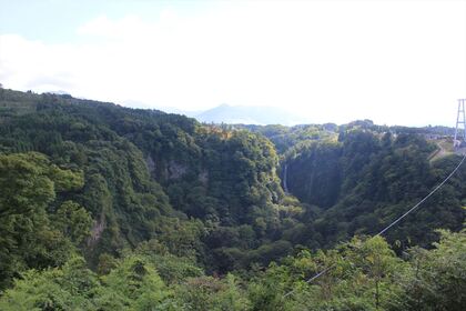 1611753172-131001-143854-IMG_6689_R.JPG
