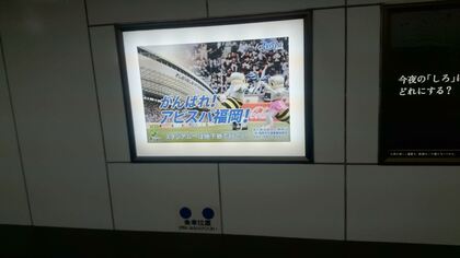 1612446129-151024-131749-DSC_5955_R.JPG
