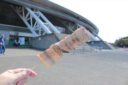 1612873572-151025-113637-IMG_3742_R.JPG