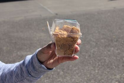 1612873727-151025-114151-IMG_3746_R.JPG