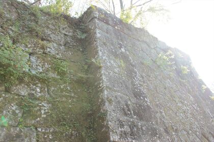 1613478487-151026-144928-IMG_4266_R.JPG