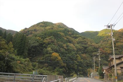 1613652348-151027-070025-IMG_4351_R.JPG
