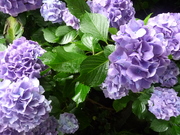 20091016-02.JPG