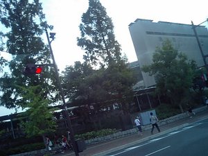 20091101-01.JPG