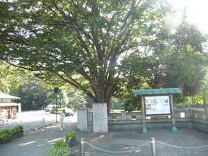 20091119-07.JPG