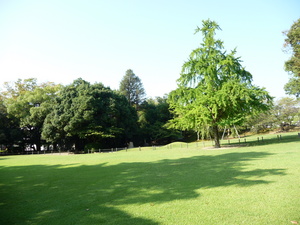 20091123-00.JPG