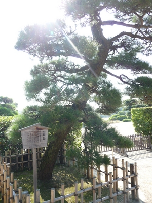20091123-02.JPG
