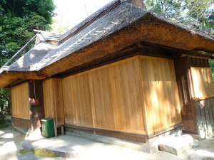 20091128-02.JPG