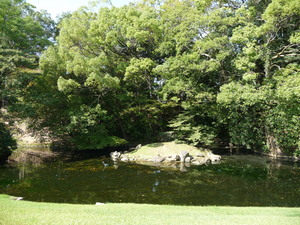 20091206-08.JPG
