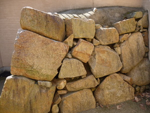 20091208-03.JPG