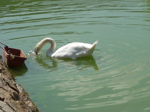 20091212-00.JPG