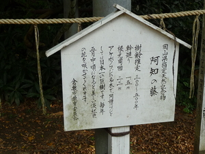 20100107-02.JPG