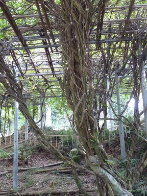 20100107-03.JPG
