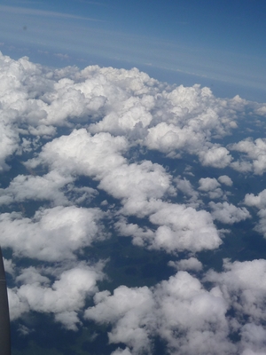 20100622-11.JPG