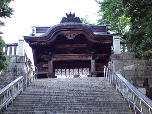 20101128-01.JPG