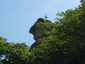 20101202-04.JPG