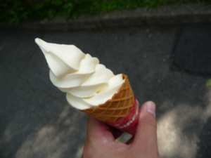 20101208-03.JPG