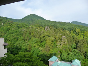 20101212-00.JPG