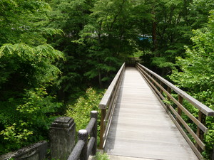 20101220-01.JPG
