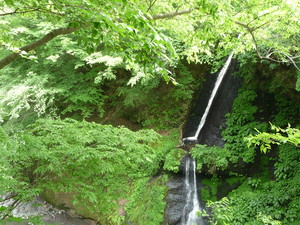 20101220-02.JPG