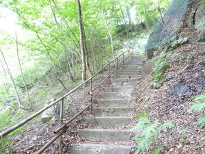 20101220-05.JPG