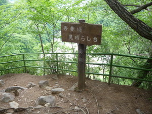 20101220-06.JPG