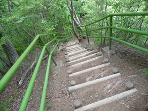 20101220-08.JPG