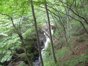 20101220-09.JPG