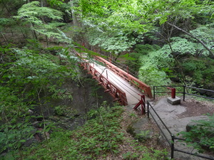 20101220-10.JPG