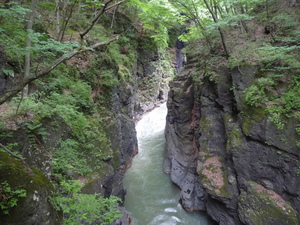 20101220-11.JPG