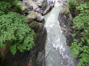 20101220-12.JPG