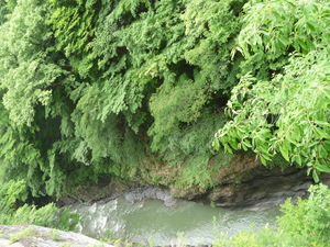 20101221-00.JPG