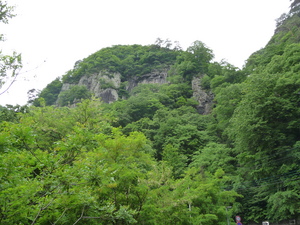20101221-01.JPG