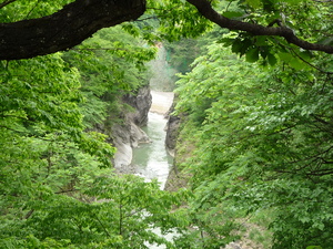 20101221-02.JPG